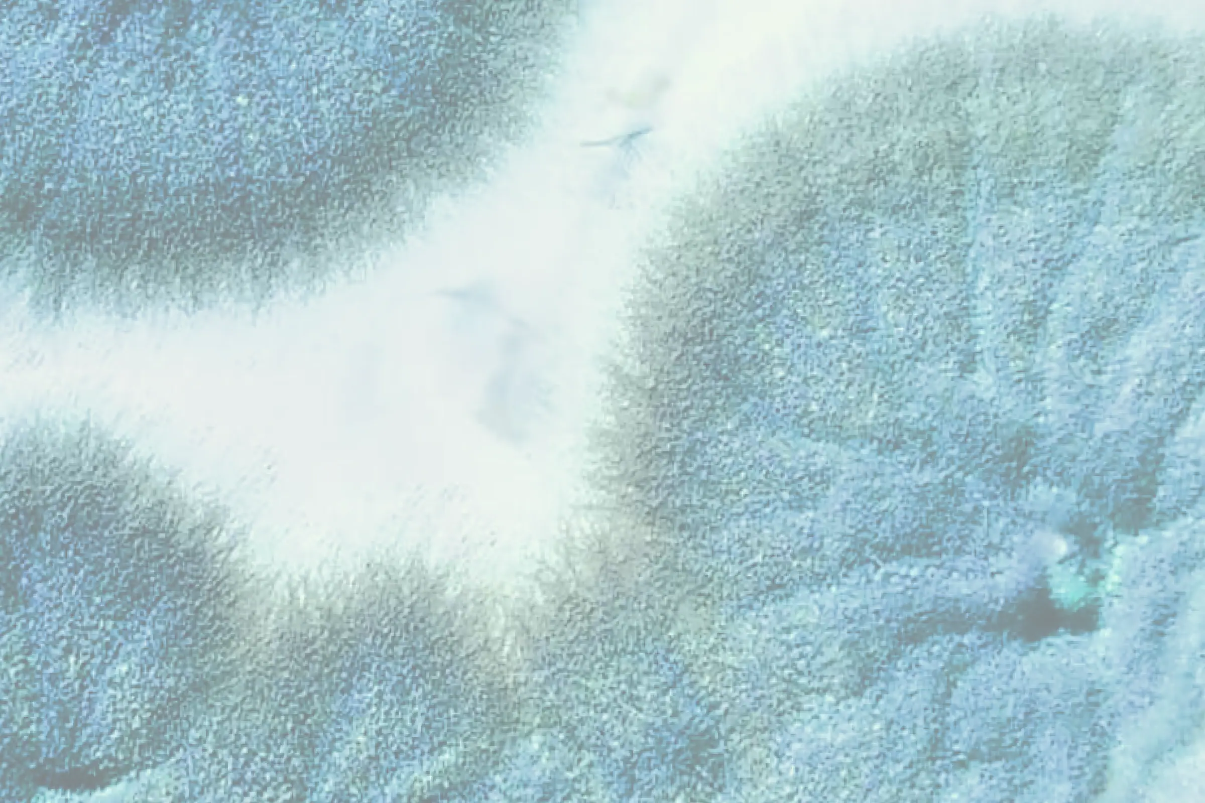 Can Chlamydia Be Dormant? Evvy